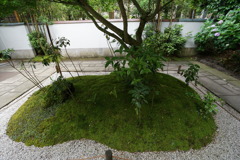 DSC01491