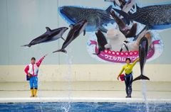 シーパラダイス