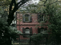 IMGP0842