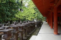 春日大社にて