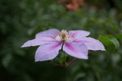 DSC01335