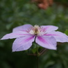 DSC01335