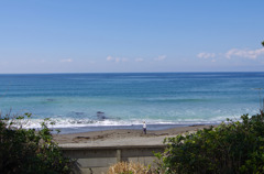 葉山の海