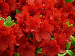 P4230123