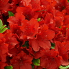 P4230123
