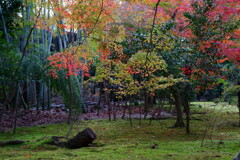 竹の寺　地蔵院