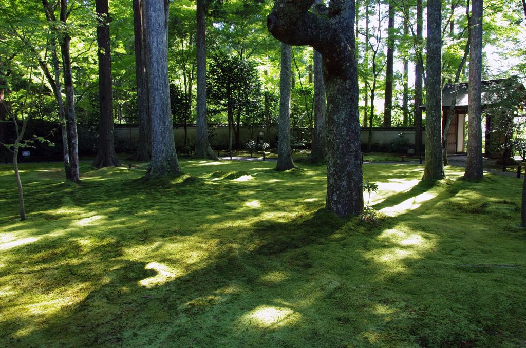 三千院