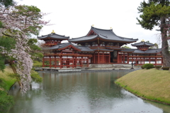雨の鳳凰堂