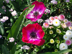IMGP0148