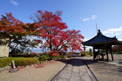 DSC05495