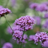 DSC01340