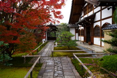 DSC09928