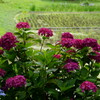 DSC06205
