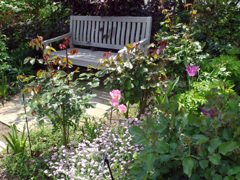 IMGP0107