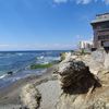 葉山の海