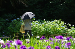 初夏の日差し