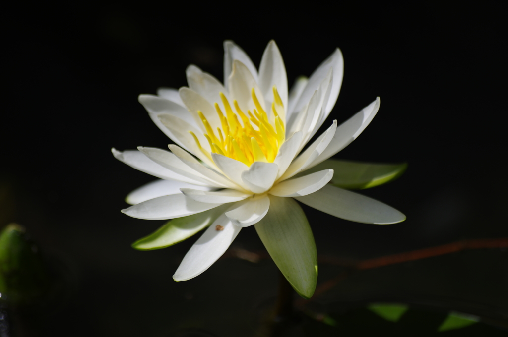 IMGP3796