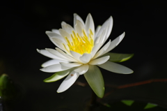 IMGP3796