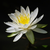 IMGP3796
