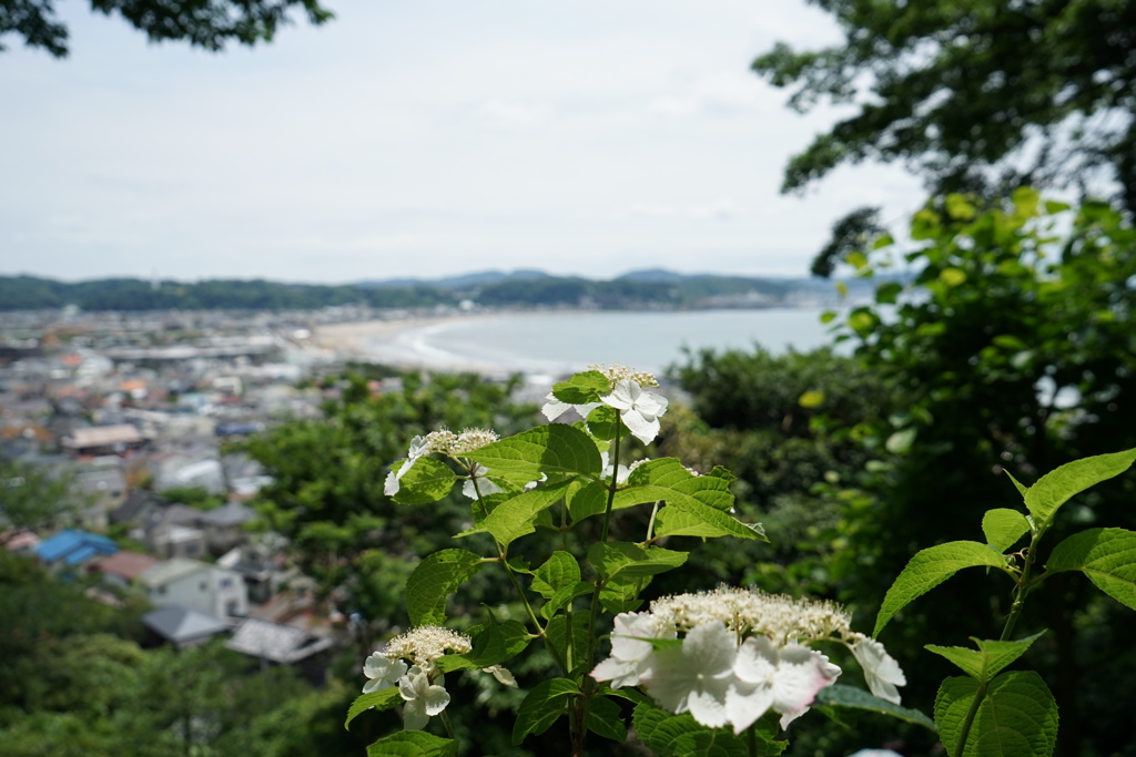 DSC00776