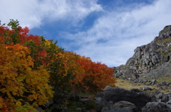 七竈と岩山