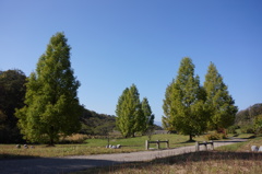 manba park