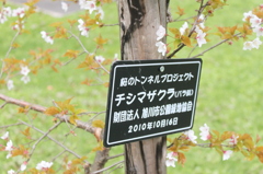 名前を知る。