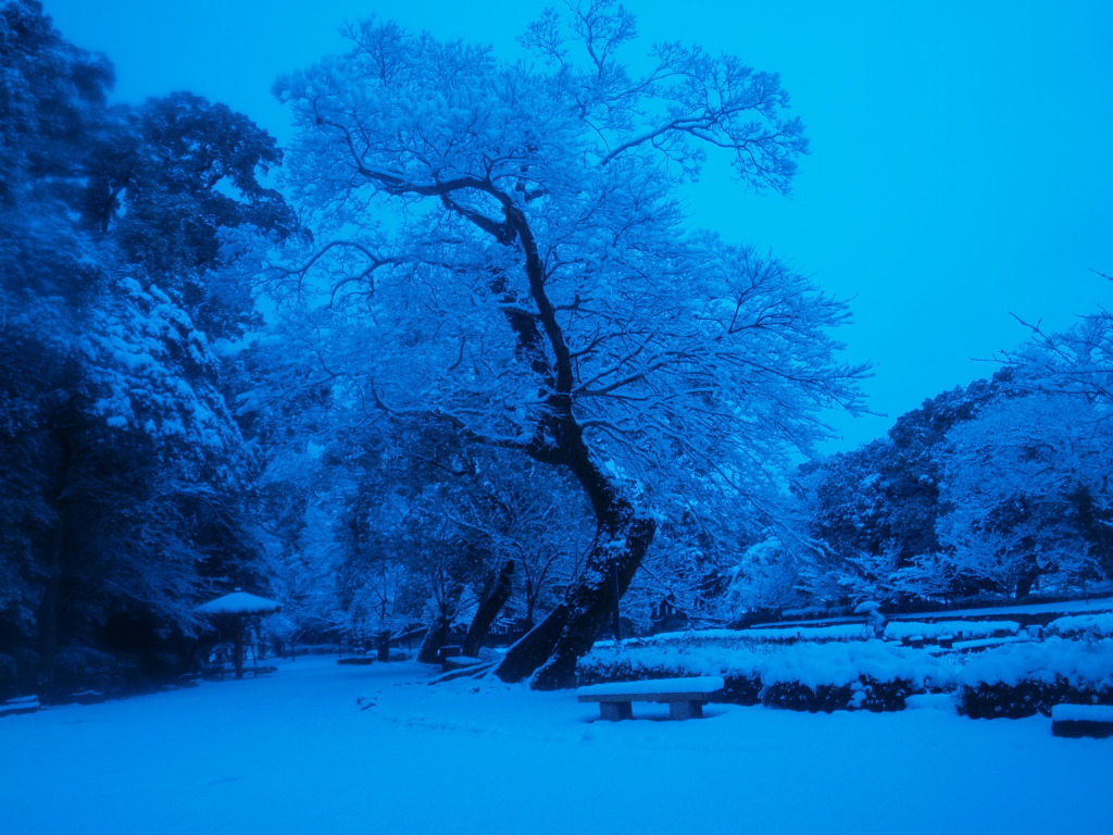 写真撮影