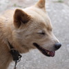 もう・・おばあちゃん