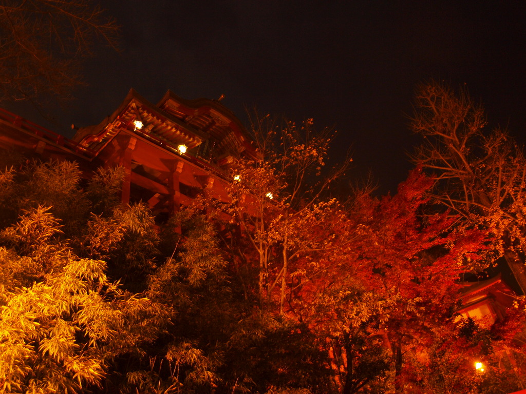 祐徳神社