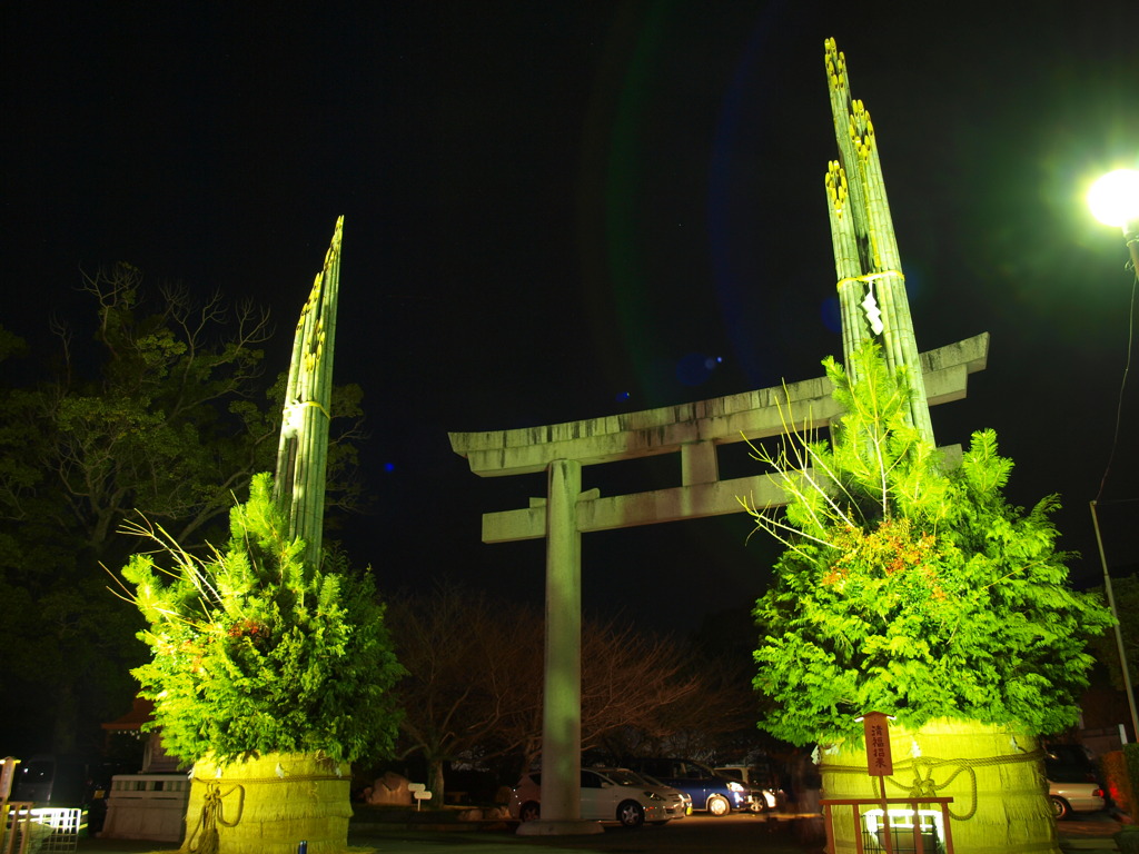 橘神社　ギネス記録