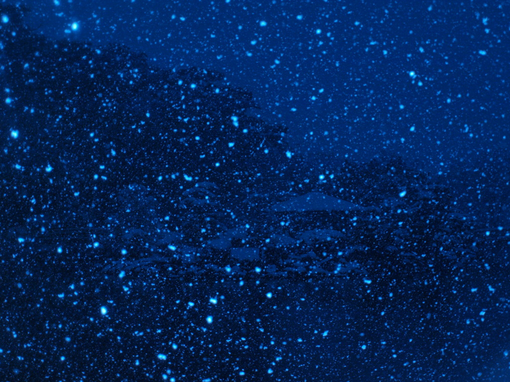 P1132656