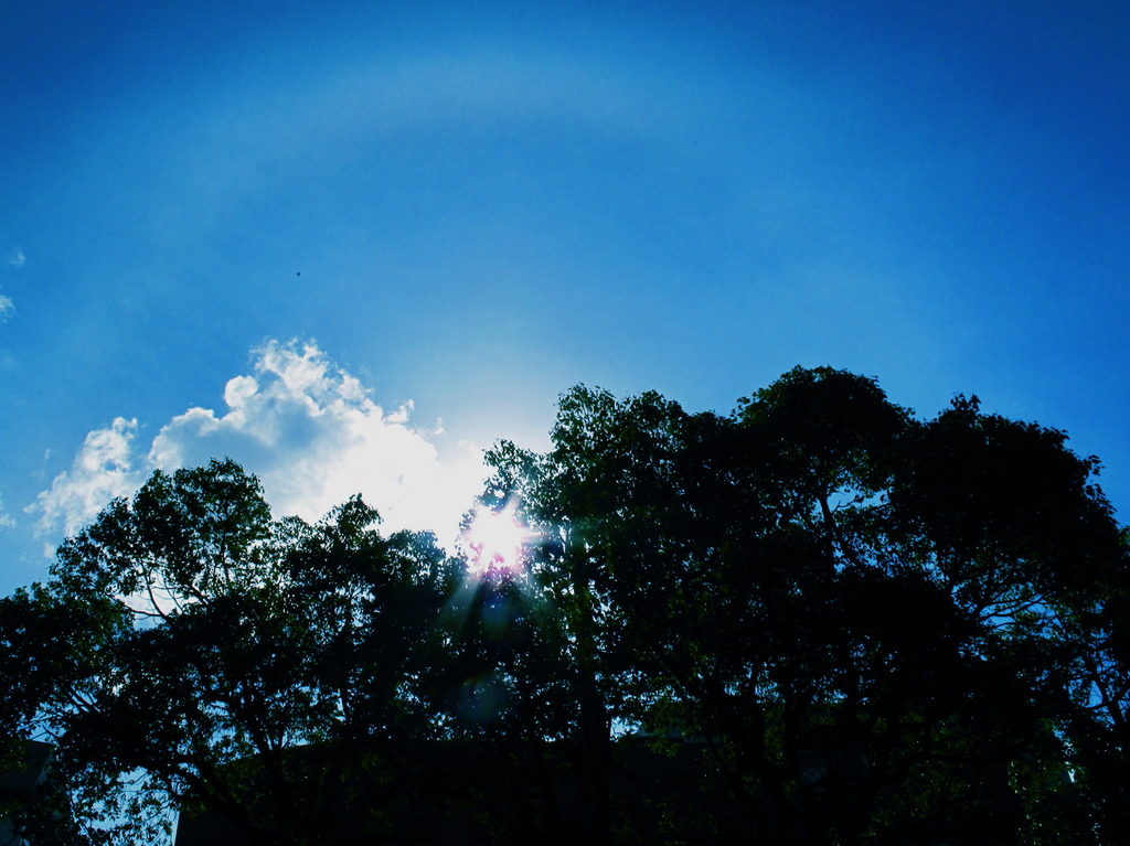 空、雲、影