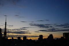 DSC_3330