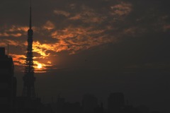 雲を照らす