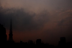 霧の中