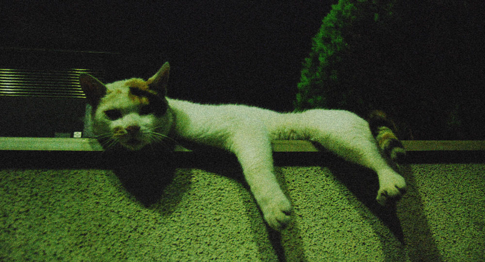 あつい～