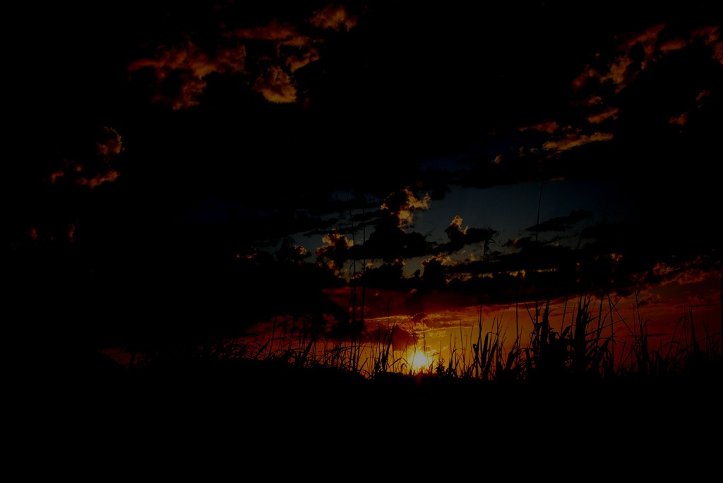 夕日