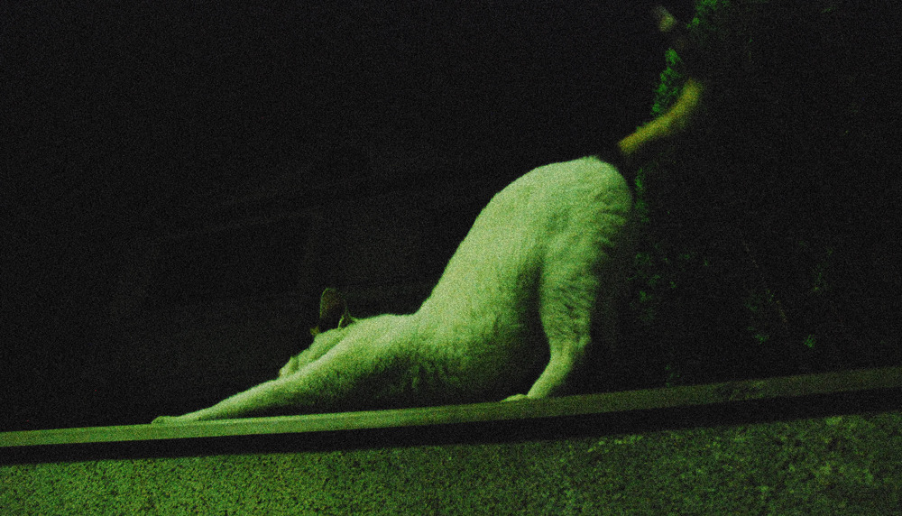 w3