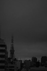 DSC_7893