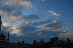 DSC_3106