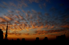 雲を数える