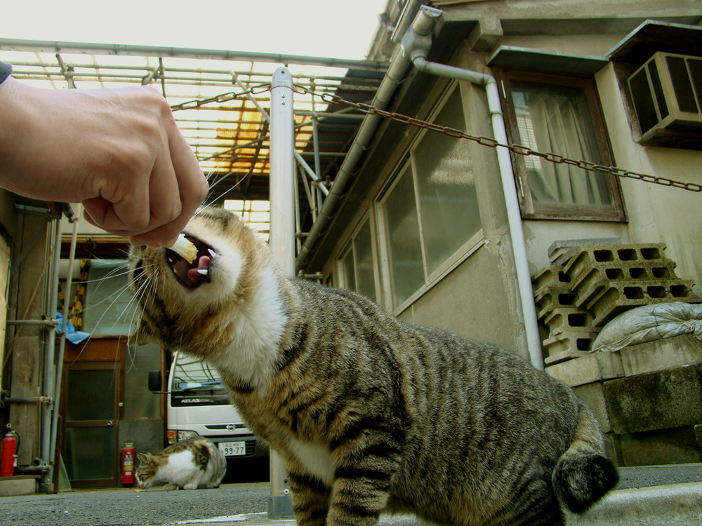うまい！！！