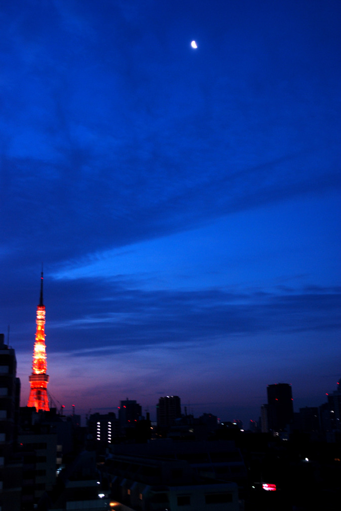伴侶