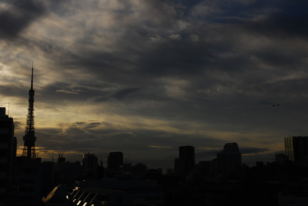 DSC_3203