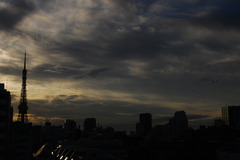 DSC_3203