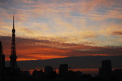DSC_6088