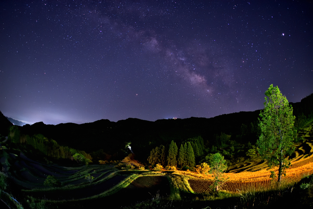 大山千枚田