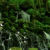 湧