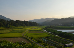 故郷の田園